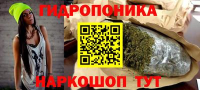 МДПВ Будённовск