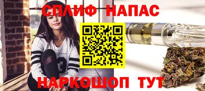 МДПВ Будённовск
