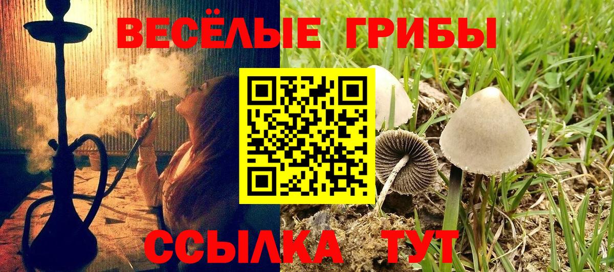 Псилоцибиновые грибы MAGIC MUSHROOMS  Вход с VPN  Орёл  Галлюциногенные грибы GOLDEN TEACHER 